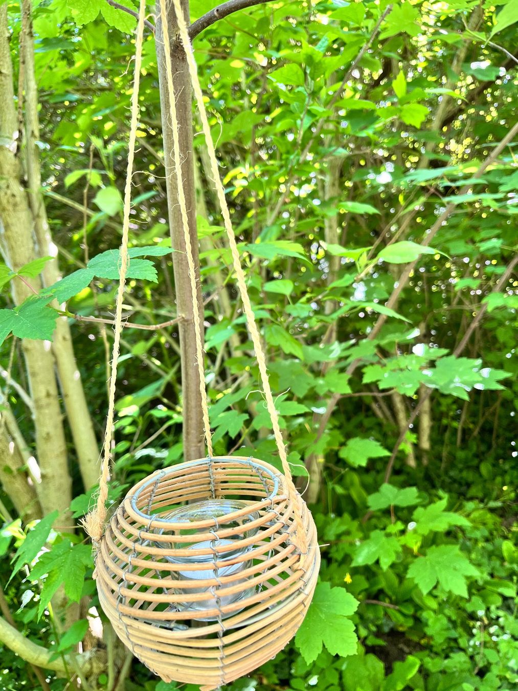 Portacandele: 2 Rottangkerzenhalter Höhe 10 cm – Nuovo e nell'imballaggio originale da Möhlin venduto da mil_h55x 5