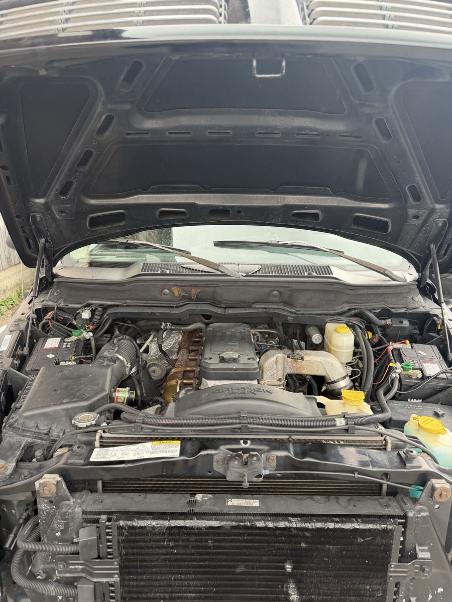 Dodge Automobili: Dodge Ram – Usato da Schalchen venduto da Schalchen01 4