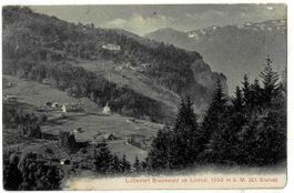 Braunwald 1909
