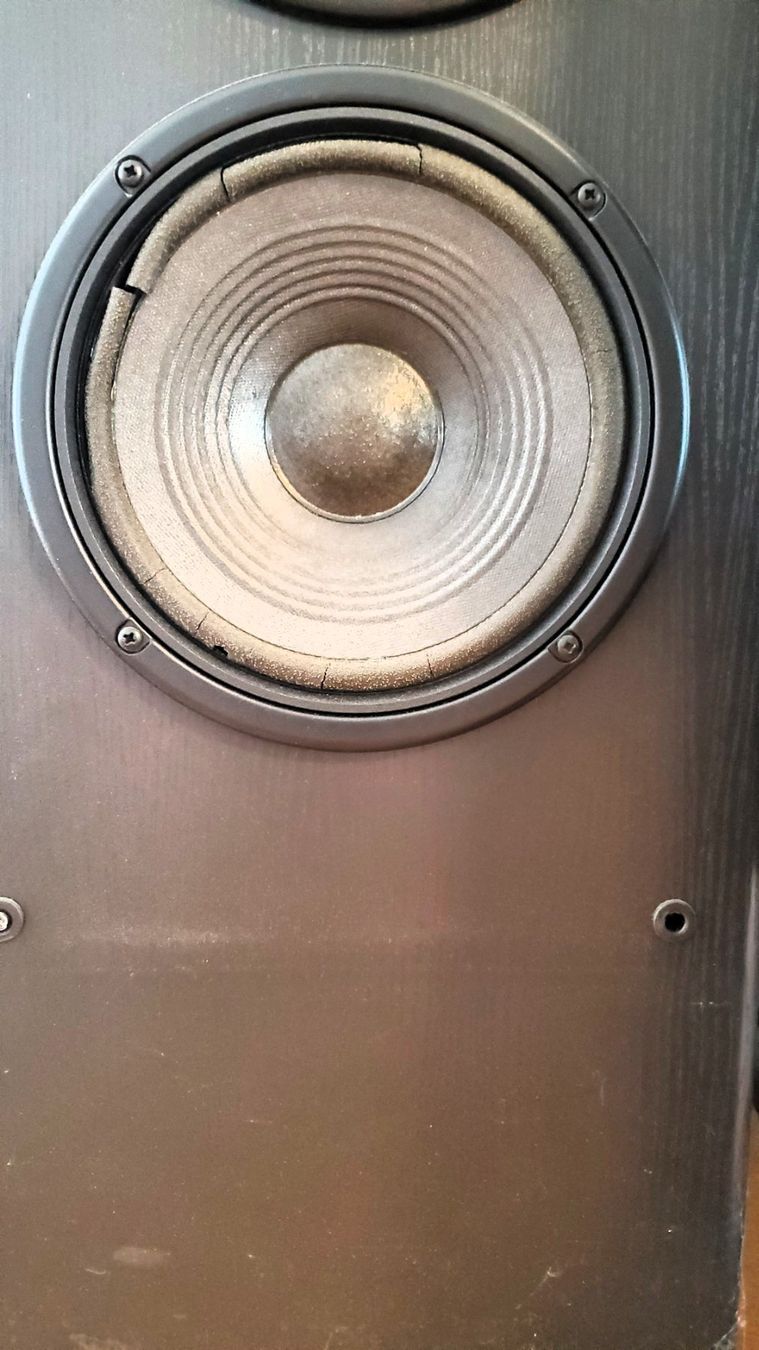 JBL Haut-parleurs: Boxen JBL LX 1000 – D'occasion à Sachseln par cam_k8v5 6