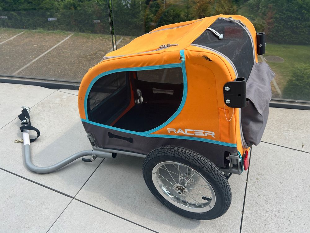 Racer Dog Chien | Kaufen auf Ricardo