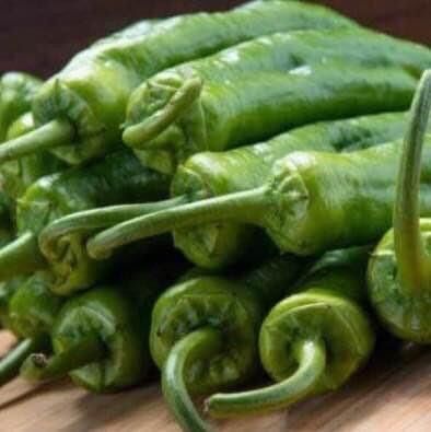 Pflanzen & Samen: 50 SAMEN Paprika FRIGITELLO Piment doux vert – Neu und originalverpackt aus Rovio von POSITIFFARTandPLANTS 4