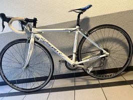 Stevens Impala Rennrad 🔥🔥