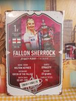 Fallon Sherrock Darts Metallschild, neu