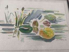 Aquarell Bilder 