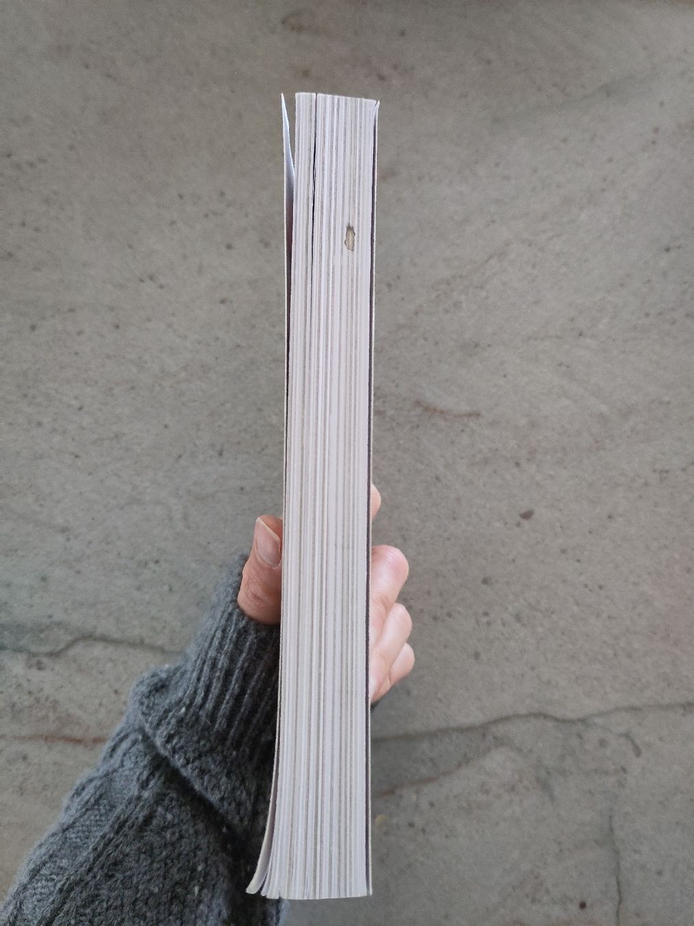 Bücher: Buch, Nachhaltig leben – Gebraucht aus Dettighofen Lengw. von mai_75wt 1