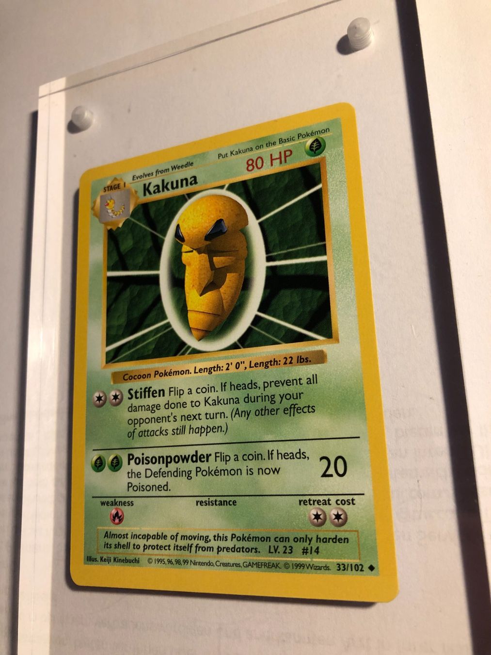 Sammelbilder & Trading cards: Kakuna (uncommon) Base Set Shadowless - MINT - ab 1.- – Gebraucht aus Giubiasco von dan_pr8b 2