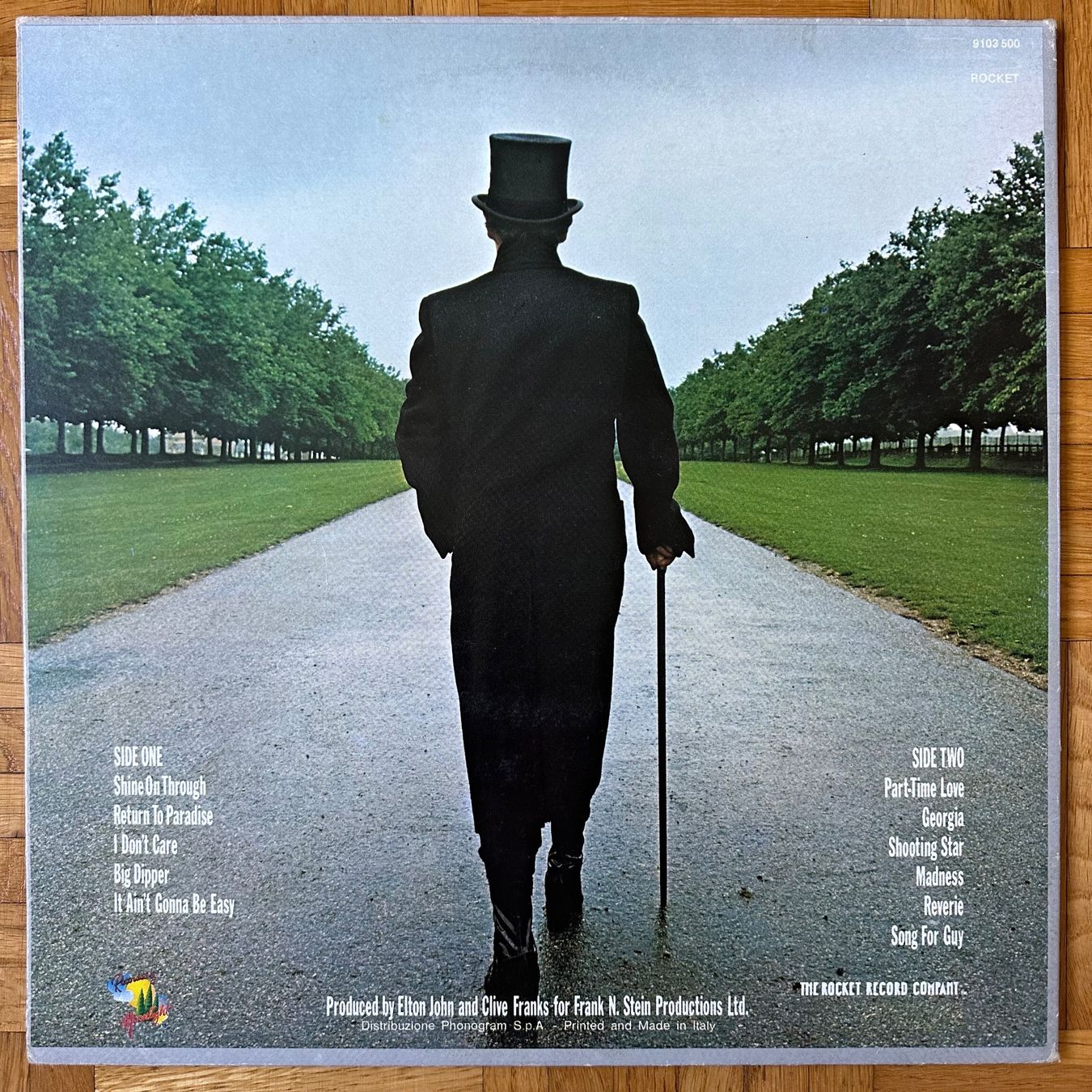 Dischi in vinile: LP - Elton John - A Single Man – Usato da Breganzona venduto da Onairda75 1