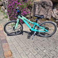 Crosswave Kindervelo 20 Zoll