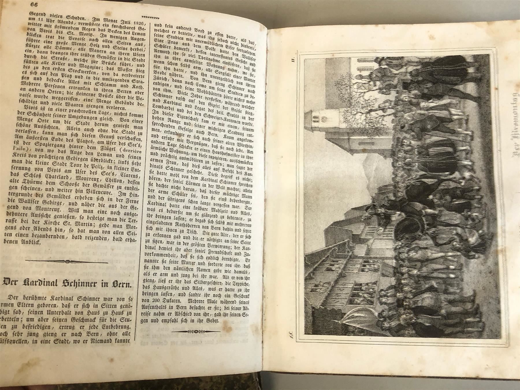 Libri: ** Schweiz historisch naturhistorisch ** – Antico da Bern venduto da Jwpm66 5