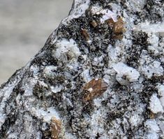 Binntal prismatische gelbe Anatase eine Rarität.