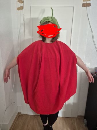 Tomatenkostüm selbstgenäht Fasching Kostümparty Halloween