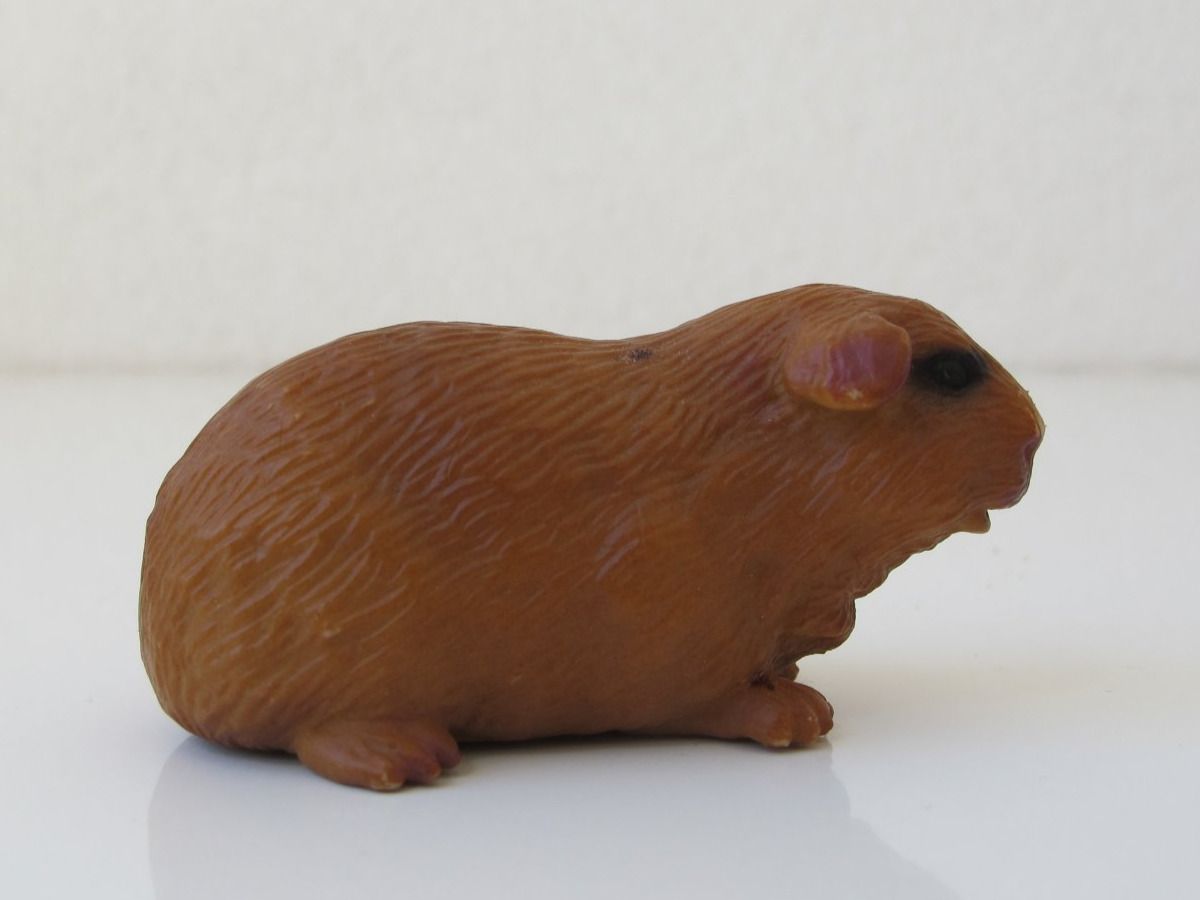 Schleich Figuren: Schleich 14402 Meerschweinchen – Gebraucht aus Vilters von hedi00 6