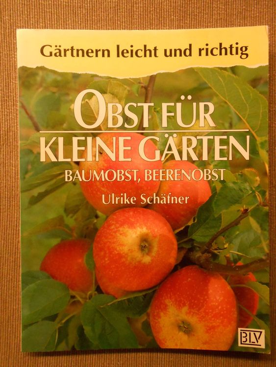 Obst für kleine Gärten Baumobst Beerenobst Kaufen auf Ricardo