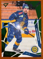Sportzoo HC Davos D. Barandun Green 15/30