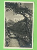 Piz Palü