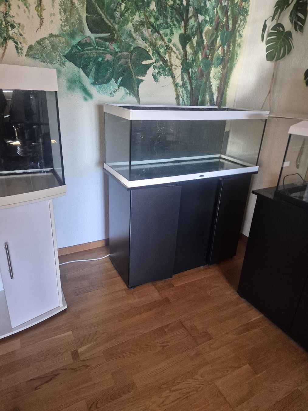 Aquarium: Aqualantis 200l Aquarium mit Möbel – Gebraucht aus Schnottwil von Rooneeyy