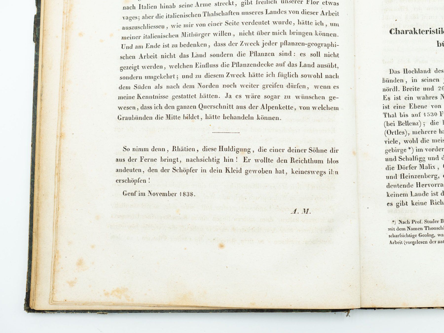 Libri: Antiquarisches Buch "Botanik Graubünden" - 1839 - Ref. 06/25 – Usato da Au ZH venduto da BrockiAu 5