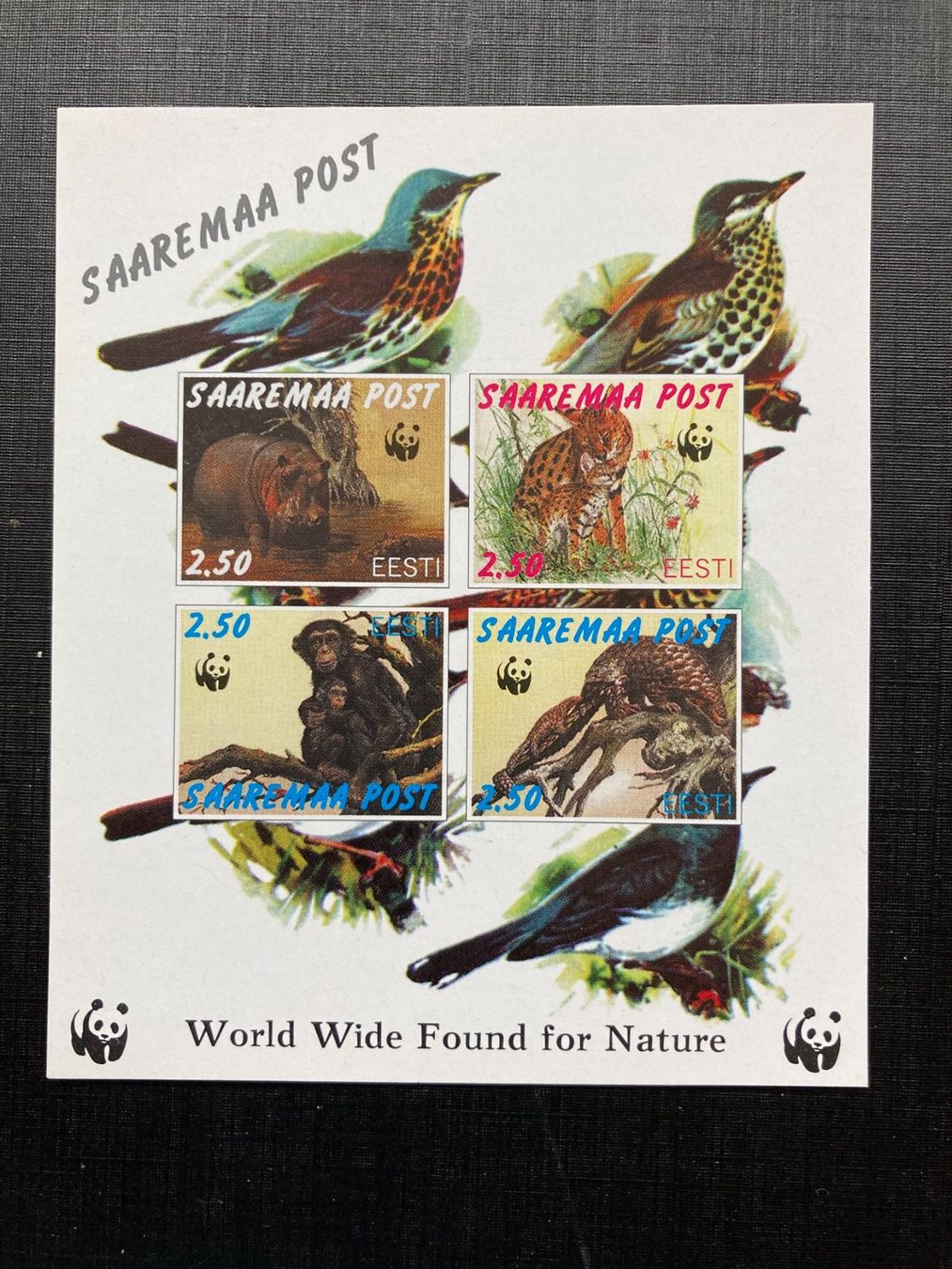 Tutti i francobolli: Estland Saaremaa Post Kleinbogen WWF Vögel postfrisch geschn – Nuovo (secondo la descrizione) da Winterthur venduto da schnueps