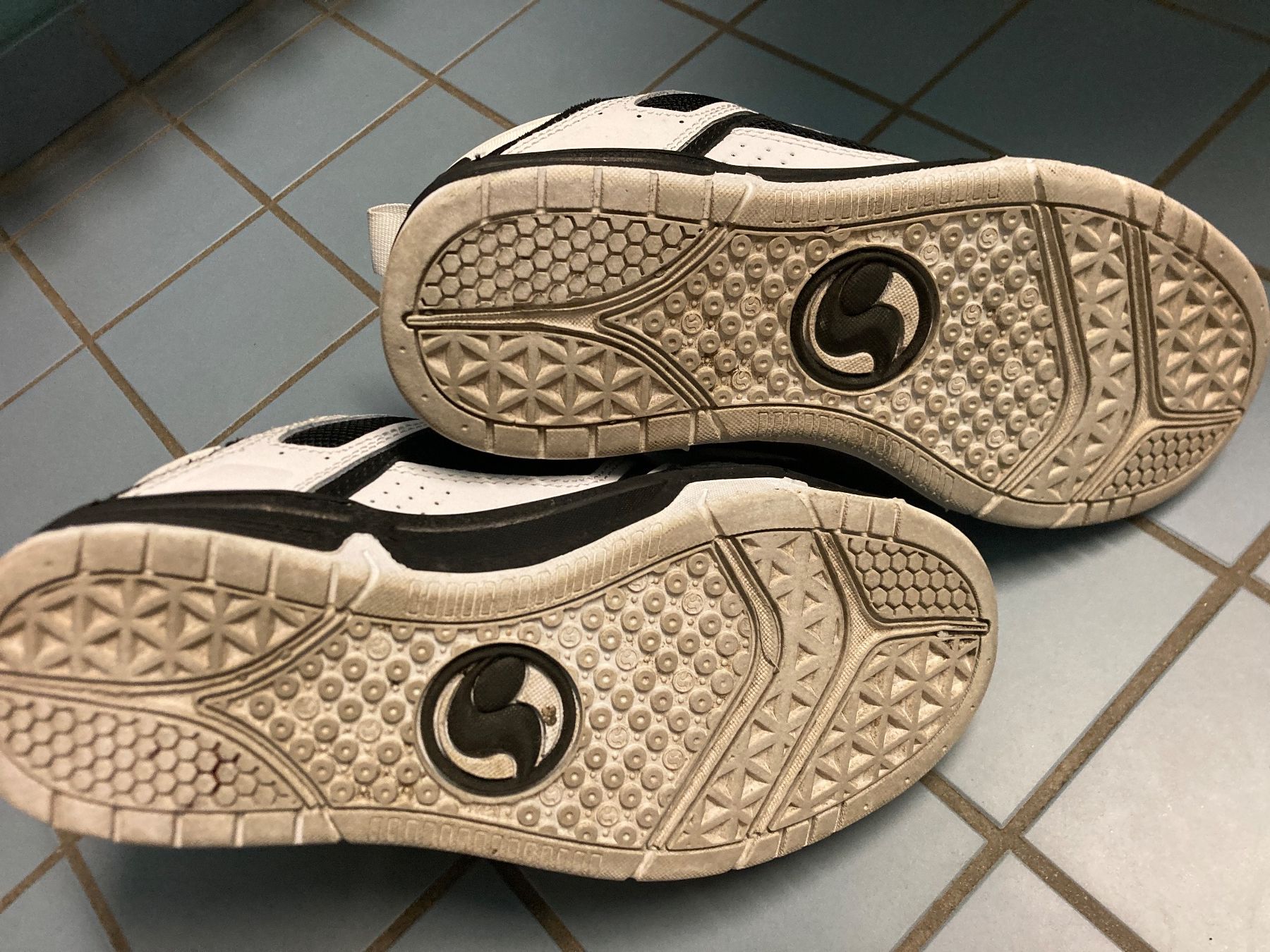 Chaussures hommes: DVS Skater Schuhe Grösse 37 – Neuf (Voir description) à Zürich par Frangipan23 2