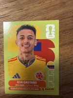 Panini Fifa COL 11