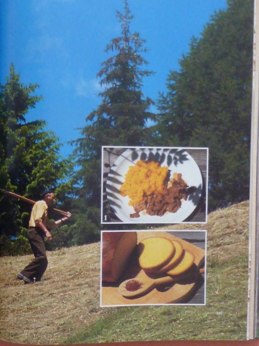 Libri: "Schweiz" Küche, Land und Leute – Nuovo (secondo la descrizione) da Triengen venduto da Nussbaum14 5