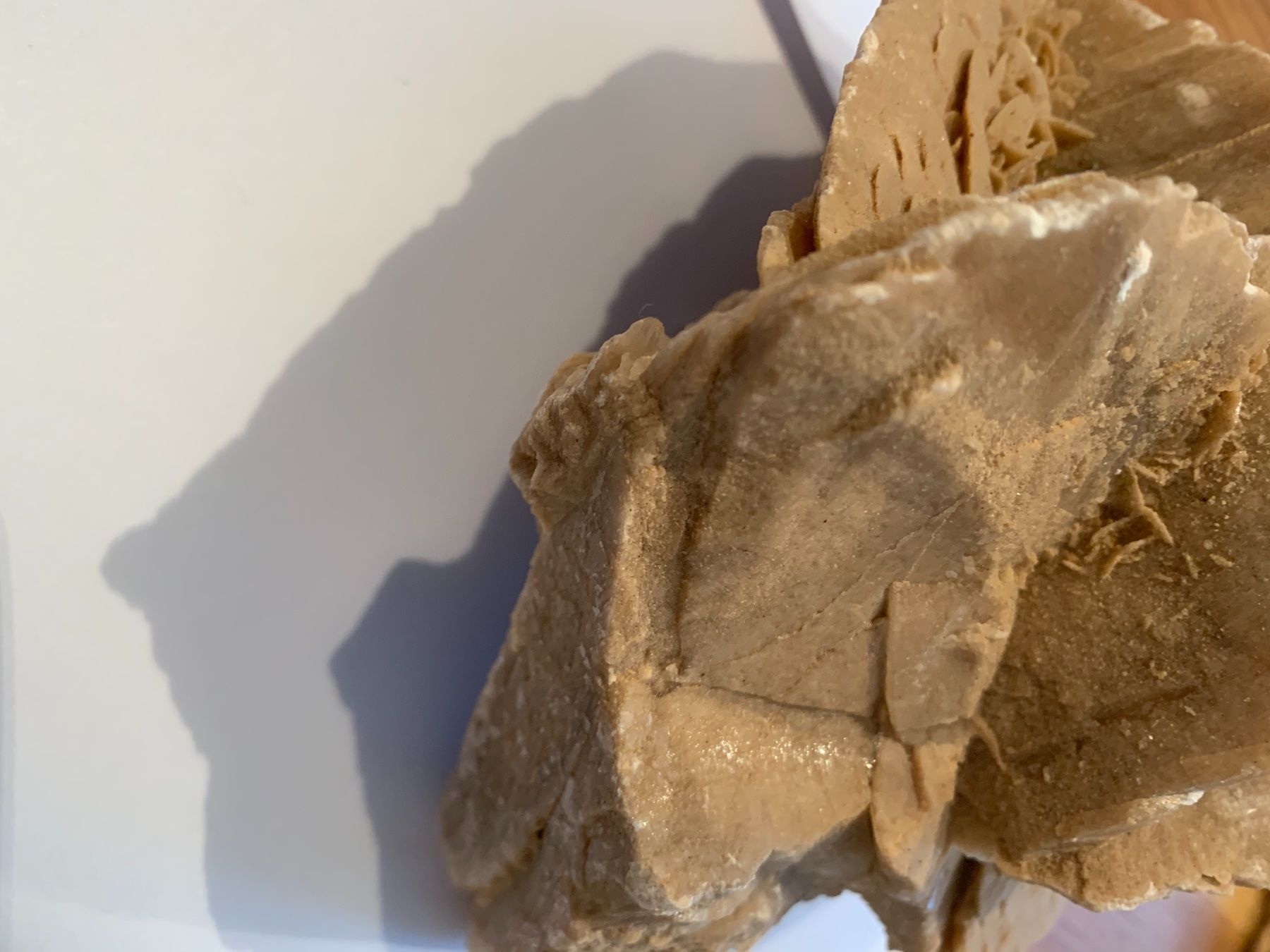 Pietre & tegole: Sandrosen aus der Sahara – Nuovo e nell'imballaggio originale da Suhr venduto da Maxmusic2308 2