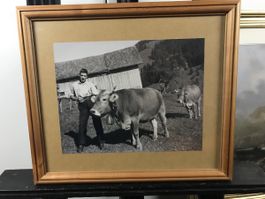 Appenzeller Foto gerahmt