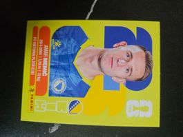 BIH 16