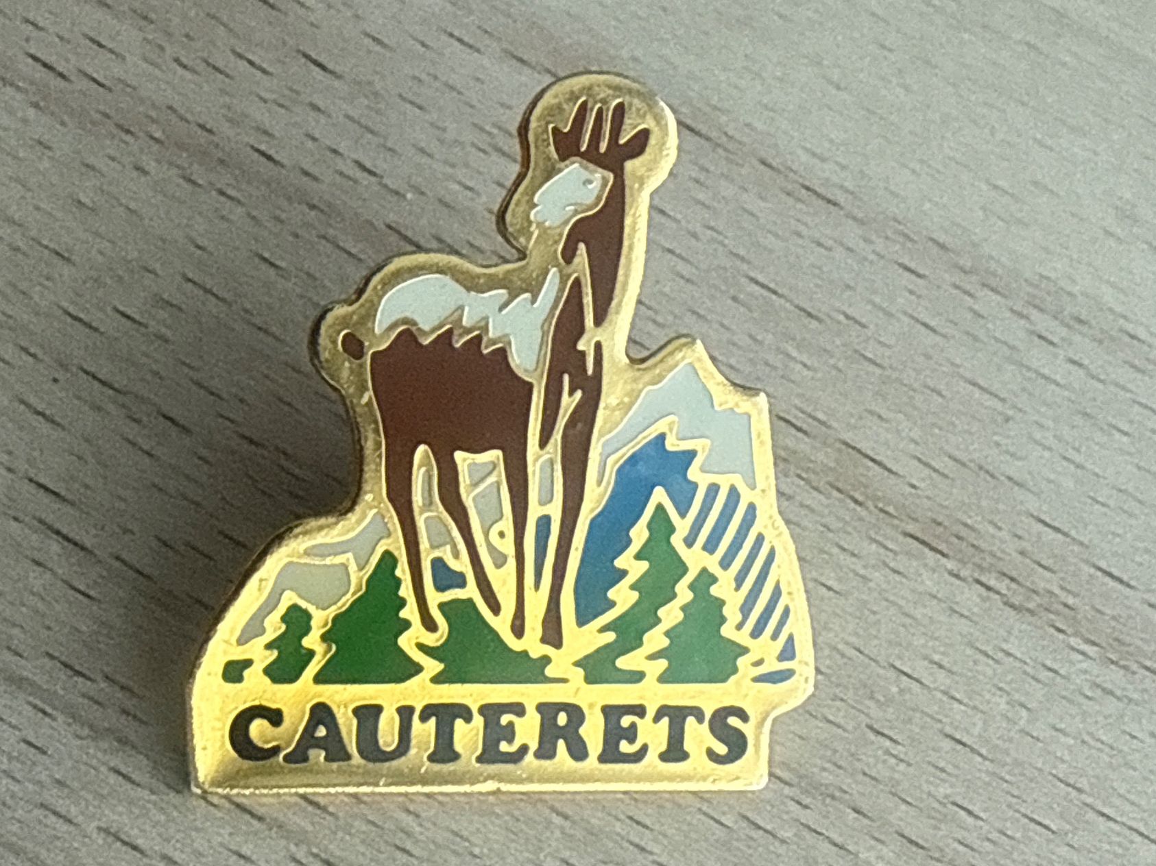 Plaketten & Abzeichen: Pin Cauterets – Gebraucht aus Glattbrugg von Schweigmatt