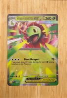 Pokémon TCG | Mega Meganium ex - MEP 034 - EN | NM