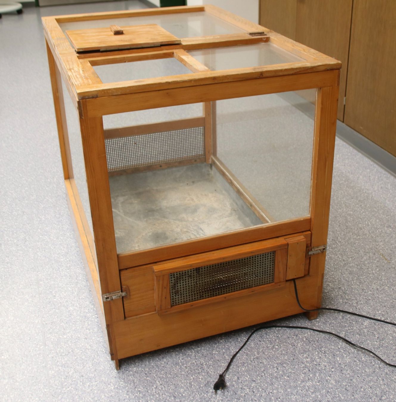 Terrarium: Terrarium – Gebraucht aus Sulgen von Harfe73 1