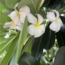Profile image of Rimma1404