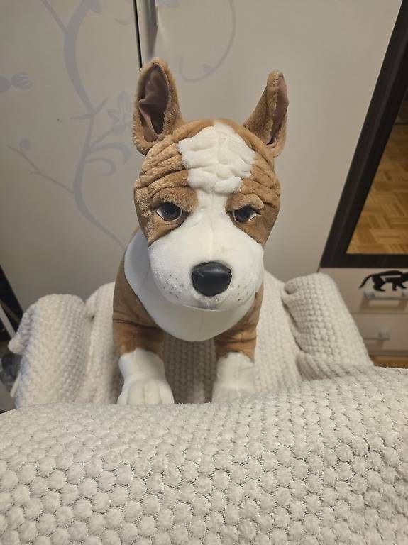 Giocattoli: Peluche cane  – Nuovo e nell'imballaggio originale da Agno venduto da Scambio-Vendo-Agno 3