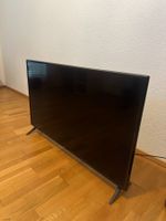 Fernseher LG 49Zoll