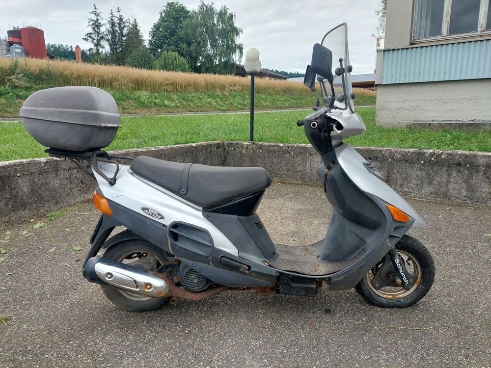 Suzuki An Burgmann Roller Scooter Kaufen Auf Ricardo