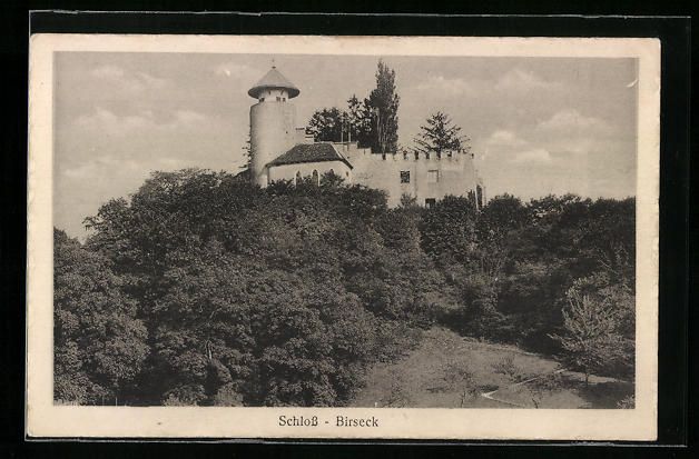 Cartoline postali: AK Birseck, Schloss – Usato da Berlin venduto da bartko-reher
