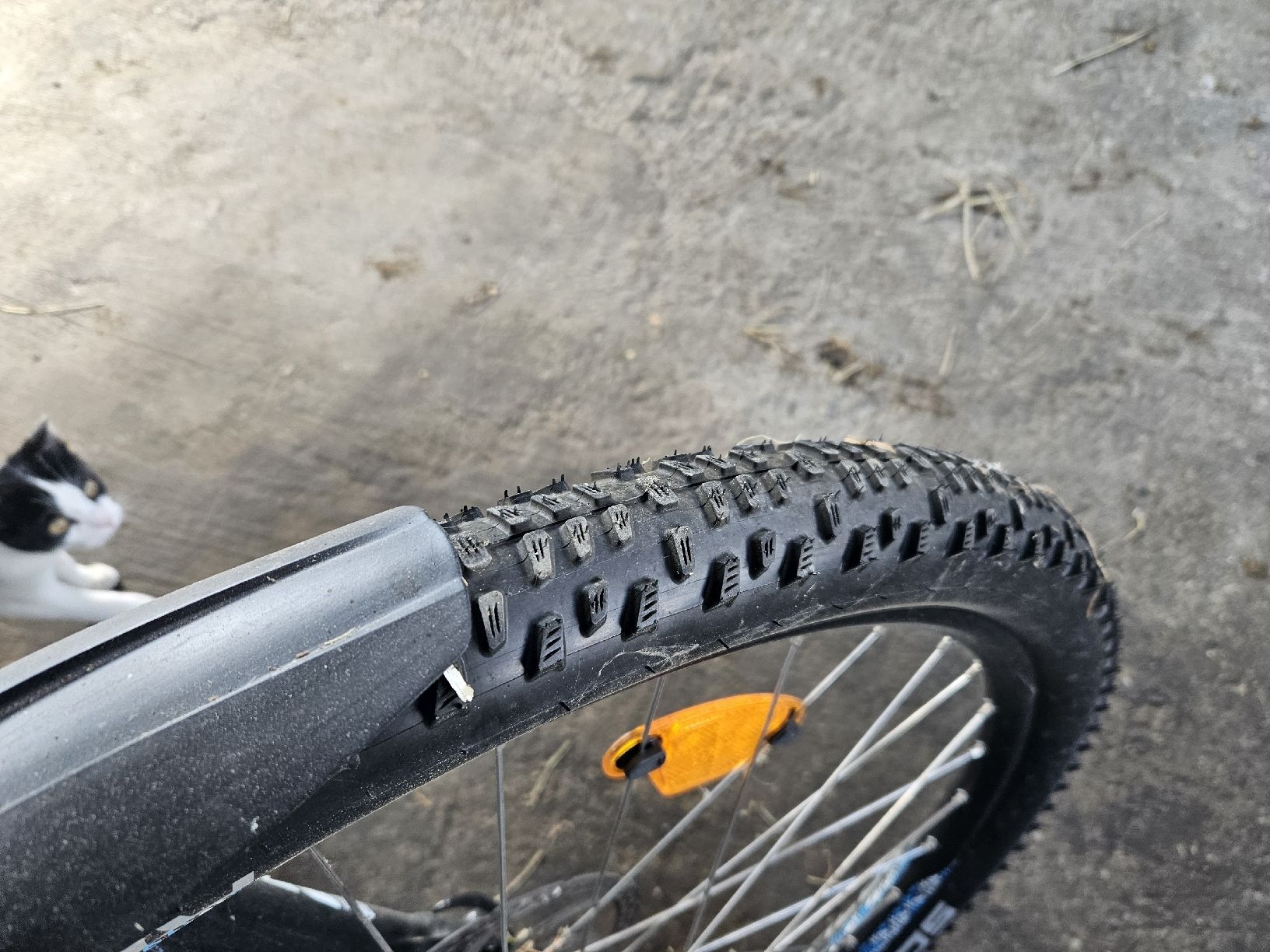 Stöckli Biciclette: Stöckli Velo – Usato da Gondiswil venduto da mic_c97w 5