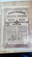 Alte Rumänische Aktie Concordia Erdöl 1924 Rarität! (W)