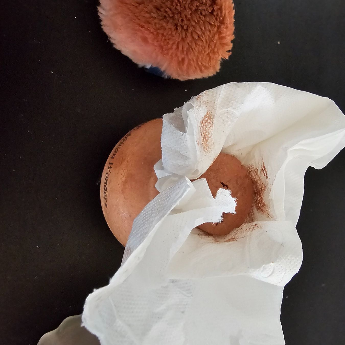 Estée Lauder Make-up: 2 stüEstee Lauder Puder "Sheer Glow" -pinsel! – Gebraucht aus wolfhalden von 46464646 3