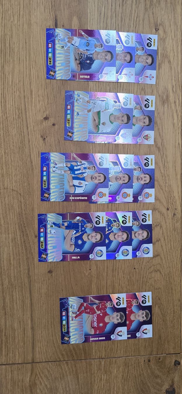 Panini Carte collezionabili: Laliga Panini – Usato da Safnern venduto da Brionne