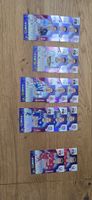 Laliga Panini