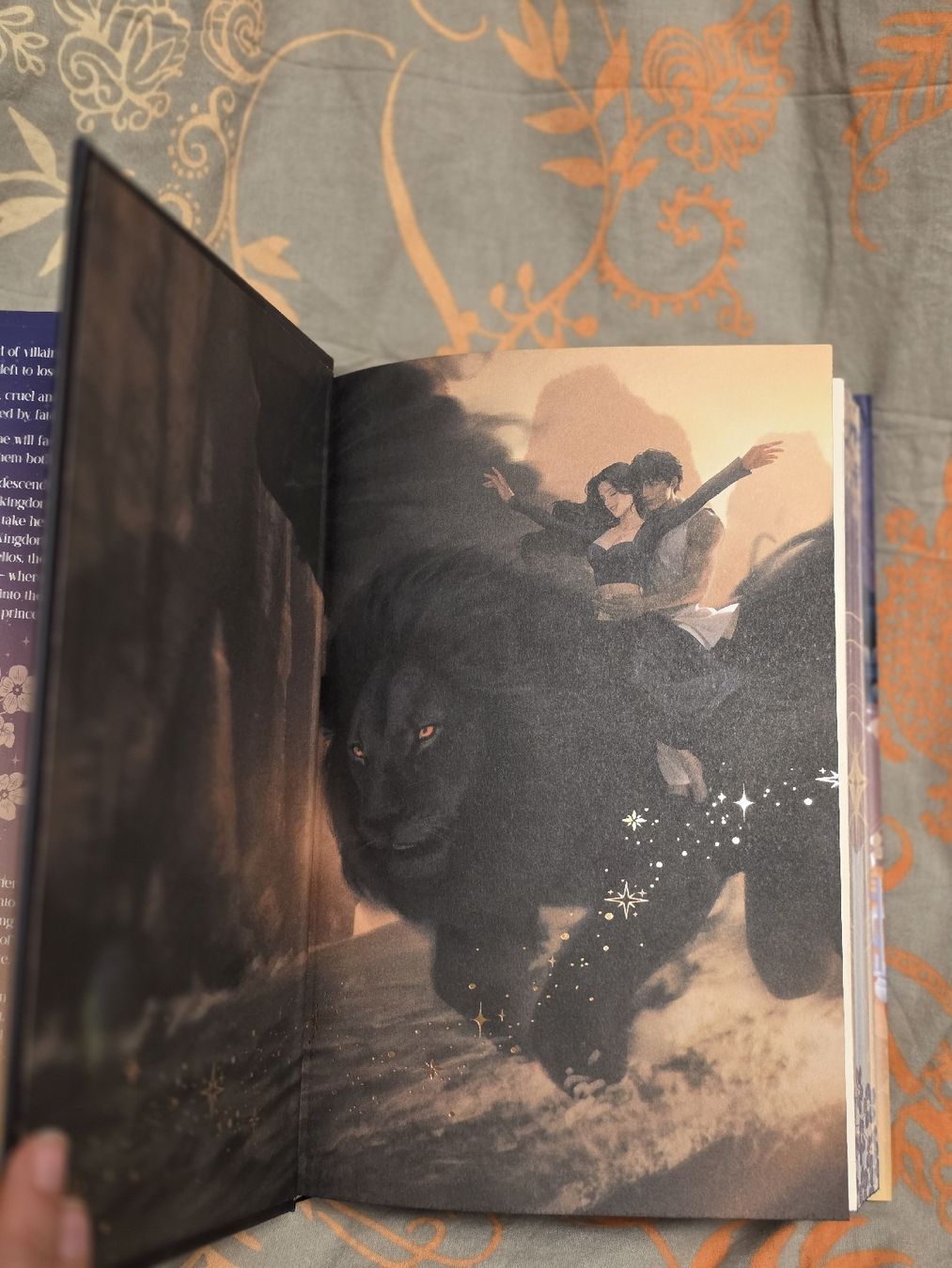 Bücher: Fairyloot Heavenly Bodies – Neu (gemäss Beschreibung) aus Erlen von Noloka_green 4