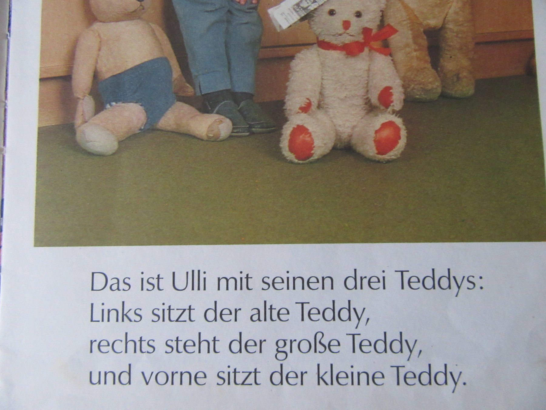 Libri: Buch " Ulli und seine Teddys " – Usato da Rüdtligen venduto da Carfield04 1