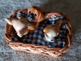 Wir sind zwei süsse, Knudel-Hunde mit Körbchen Puppenhaus