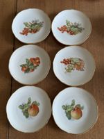 Schumann Arzberg Bavaria Teller, 6 Stk., Obstmotive