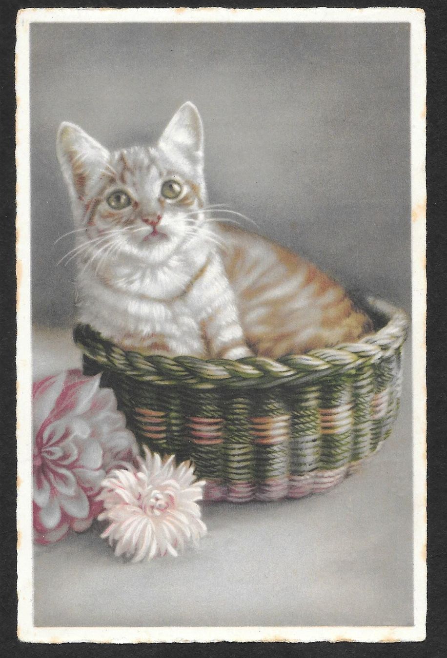 Cartoline postali: Katzenkarte Katze im Korb Feldpoststempel – Usato da Olten venduto da clotaldi