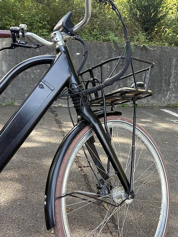 Ego Movement Biciclette: Ego Movement e-Bike Cleopatra 2.0 – Usato da Zürich venduto da alexjane 4