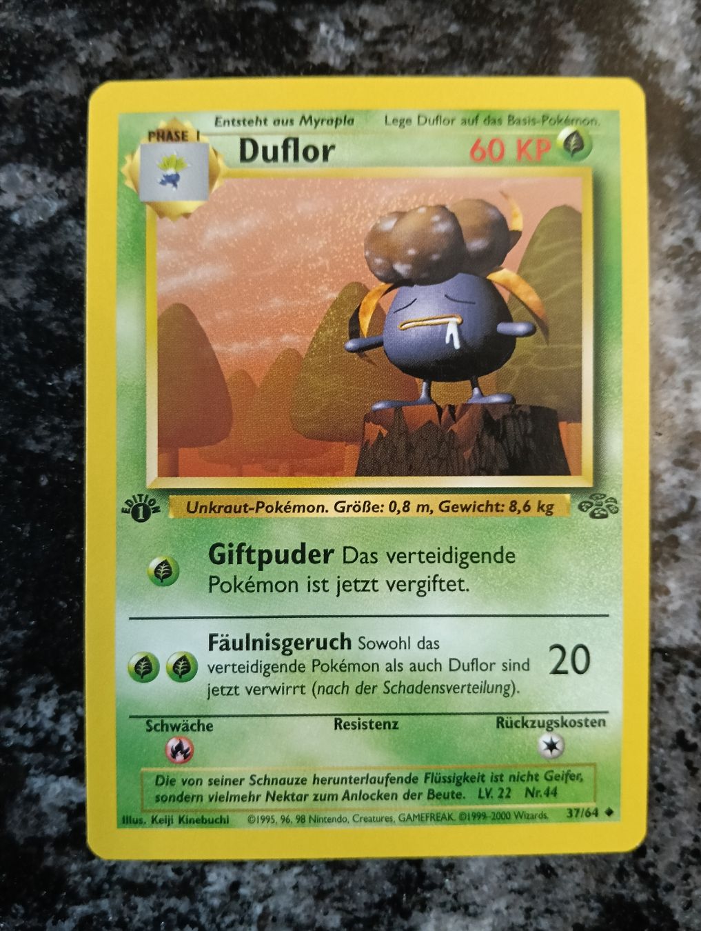 Pokémon Carte collezionabili: Pokémon Dschungel 1 Edition  Duflor  – Usato da LEUZIGEN venduto da mic_sdh5