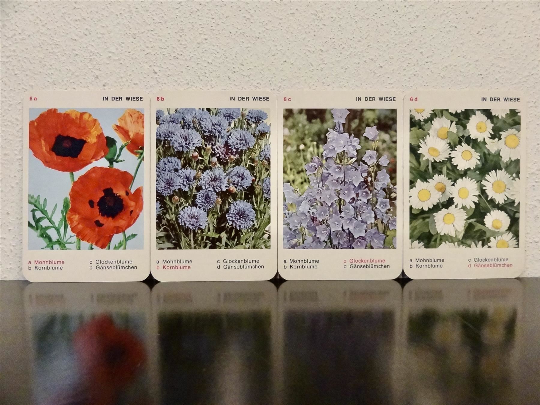 Giochi: altes Quartett BLUMEN-QUARTETT BLUMEN – Usato da Kerzers venduto da wisaundso 6